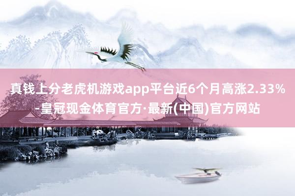 真钱上分老虎机游戏app平台近6个月高涨2.33%-皇冠现金体育官方·最新(中国)官方网站