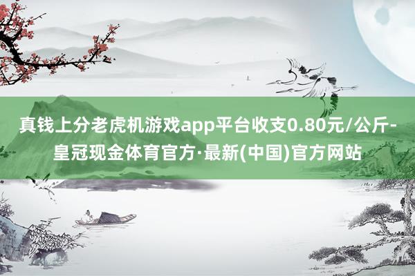 真钱上分老虎机游戏app平台收支0.80元/公斤-皇冠现金体育官方·最新(中国)官方网站