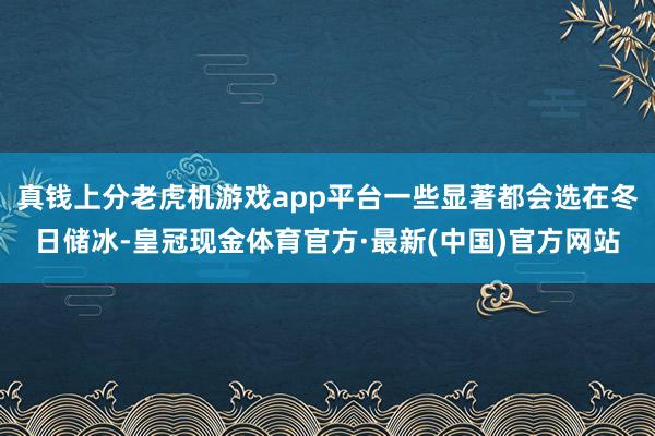 真钱上分老虎机游戏app平台一些显著都会选在冬日储冰-皇冠现金体育官方·最新(中国)官方网站