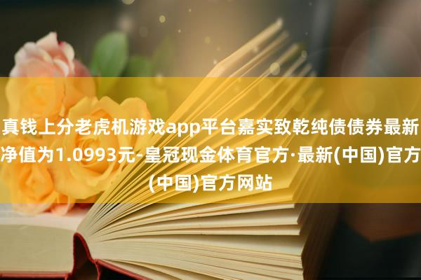 真钱上分老虎机游戏app平台嘉实致乾纯债债券最新单元净值为1.0993元-皇冠现金体育官方·最新(中国)官方网站