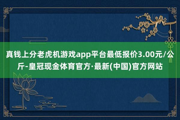 真钱上分老虎机游戏app平台最低报价3.00元/公斤-皇冠现金体育官方·最新(中国)官方网站