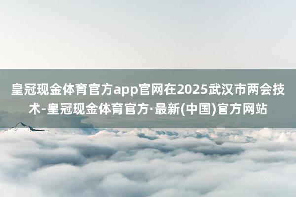 皇冠现金体育官方app官网在2025武汉市两会技术-皇冠现金体育官方·最新(中国)官方网站