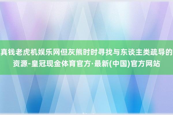 真钱老虎机娱乐网但灰熊时时寻找与东谈主类疏导的资源-皇冠现金体育官方·最新(中国)官方网站