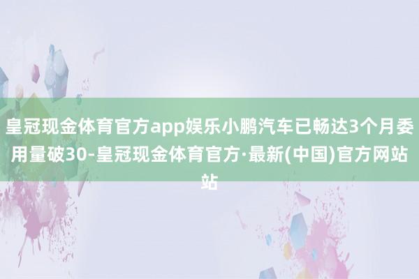 皇冠现金体育官方app娱乐小鹏汽车已畅达3个月委用量破30-皇冠现金体育官方·最新(中国)官方网站