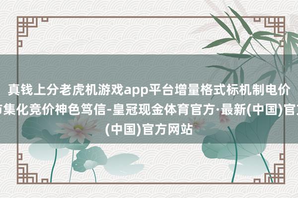 真钱上分老虎机游戏app平台增量格式标机制电价通过市集化竞价神色笃信-皇冠现金体育官方·最新(中国)官方网站